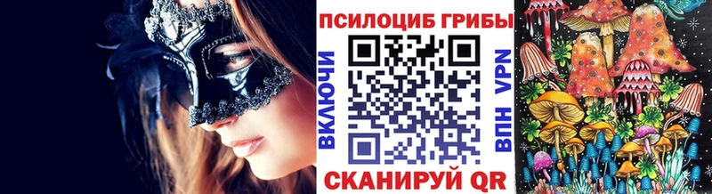 где можно купить наркотик  блэк спрут рабочий сайт  Псилоцибиновые грибы мицелий  Октябрьск 